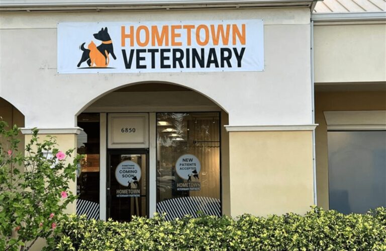 Untitled design 1 2 768x499